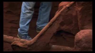 Over the course of 3 days scientists pumped 10 tons of cement into an abandoned ant hill. After weeks of digging, the colony&rsquo;s intricate &amp; impressive structure is revealed. [From: Ants! Natures Secret Power]