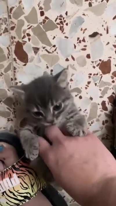 how can i go work?