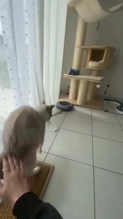 The fright!