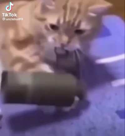 😦‼️