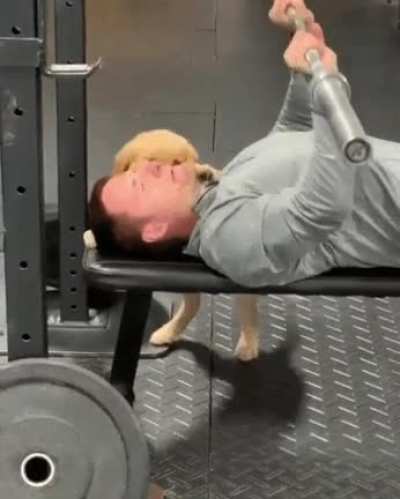 Supportive mans bestfriend!