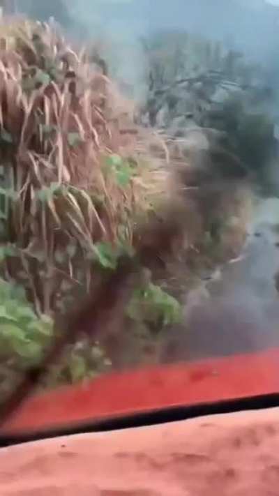 Rock in the middle of the road