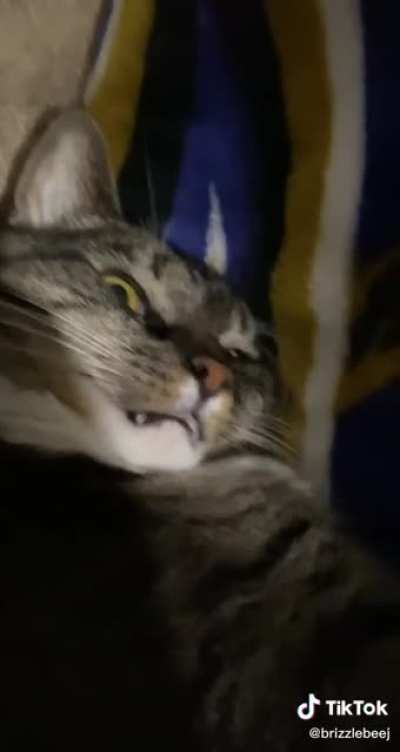 Incredibly stoned