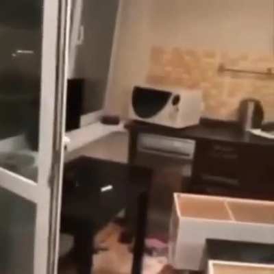 WCGW being a drunk spiderman
