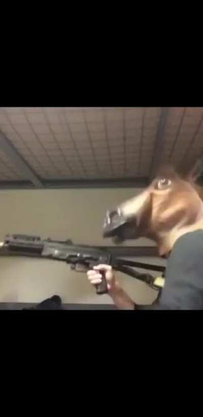 Blursed Marksman