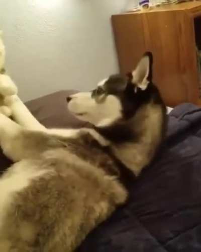 Why Don&rsquo;t You Ever Kiss Me Back?!