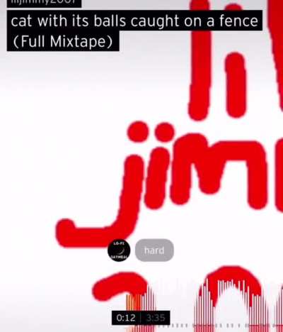 Vibin Rn