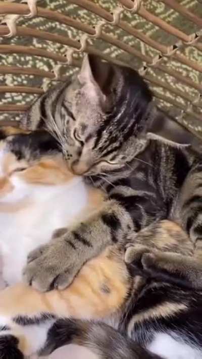 Last Hug Goodbye