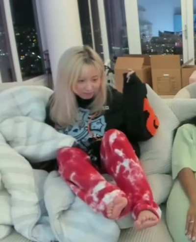 Starsmitten/Celine jumping onto a couch - 2022