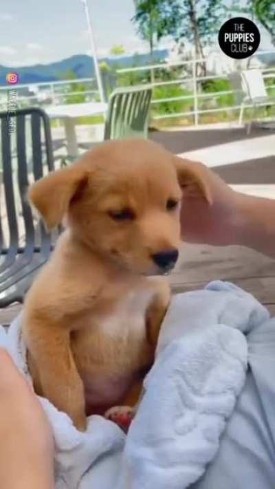The goodest of boys