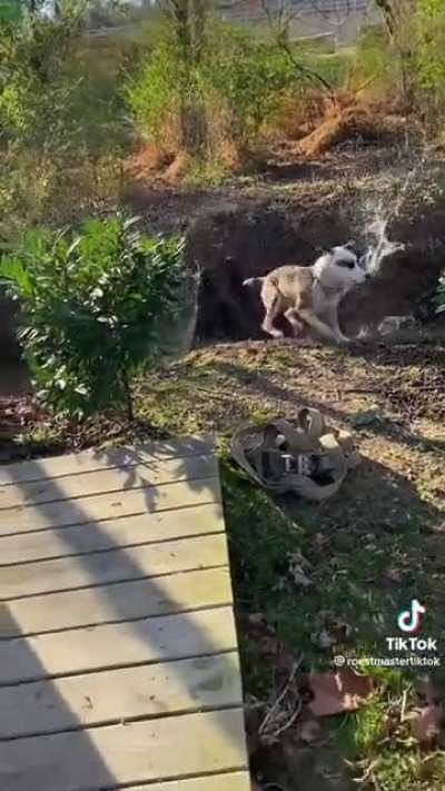 &ldquo;Fuck them kids!&rdquo;