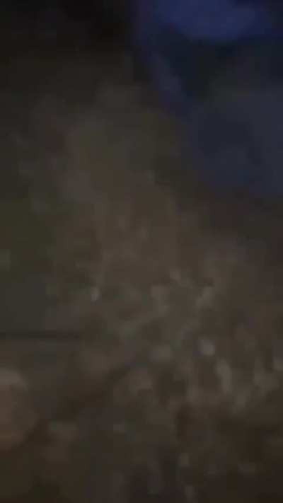 Dusan der katzen mörder wurde gepackt