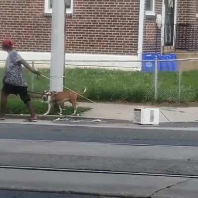 Nothing to see here. She's just taking her AC for a walk.