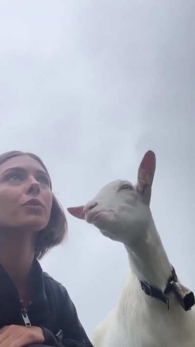 "Found a new friend"