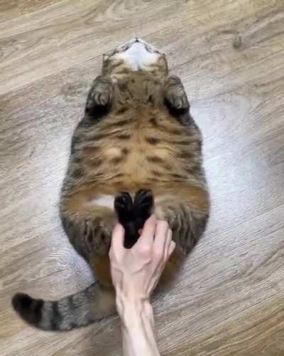 Daily exercise