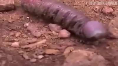 Her g&uuml;n bir deep turkish web video serisi #13.G&uuml;n