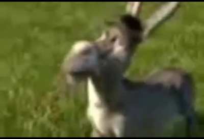 eeeee