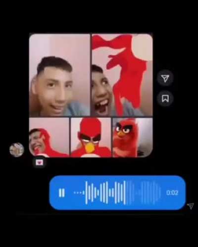 red bird