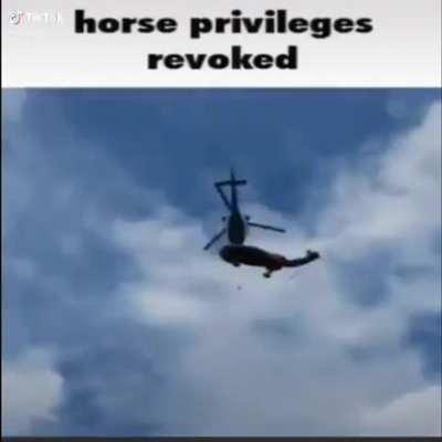 No more horse