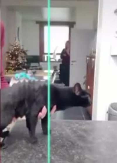 Maybe maybe maybe