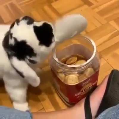 STOP! Snac thief!!