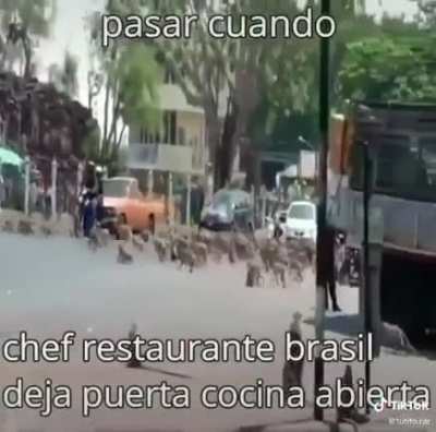 Cuando
