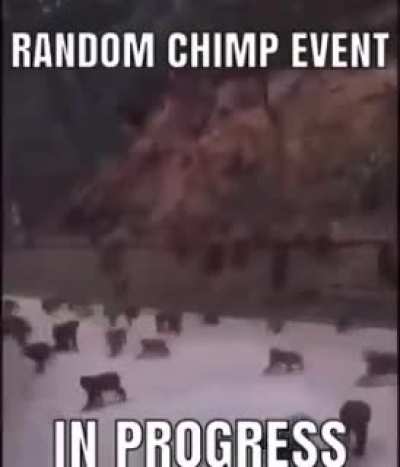 It begins