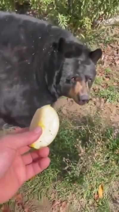 Hungry boy