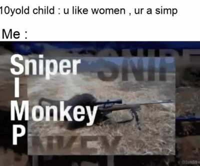 sniper monke , sniper monke