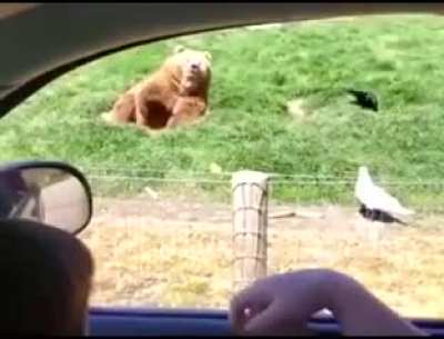 Maybe maybe maybe