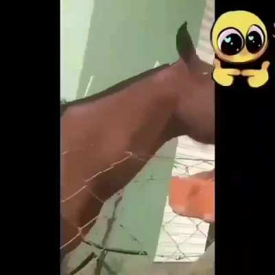 Juan sos vos? 👉🏻👈🏻