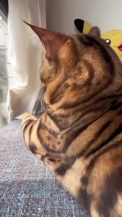 LENGTHY wunkus