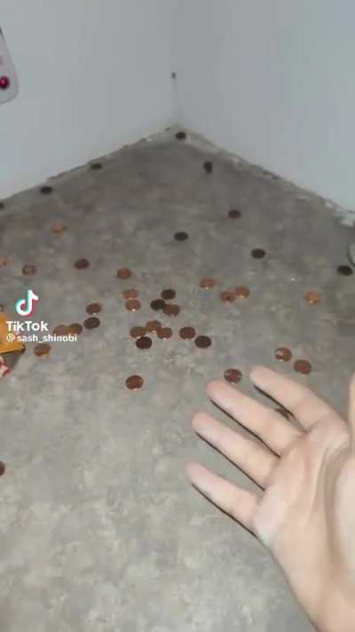 Penny Man