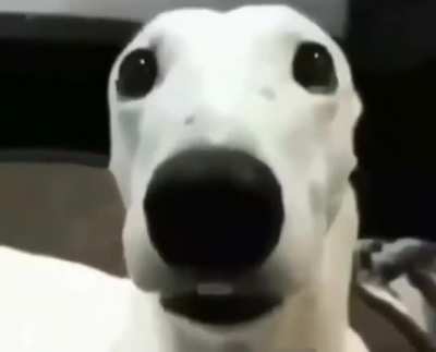 uh.