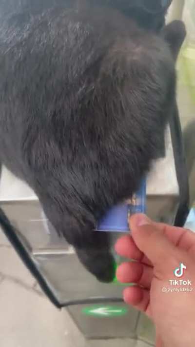 Not my video