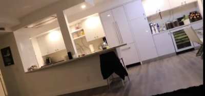 From one of david dobrik's vlogs