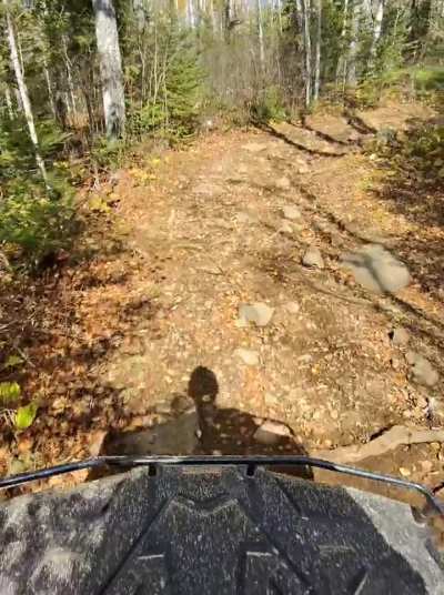 Hate this bike