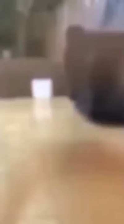 When the fly attacks