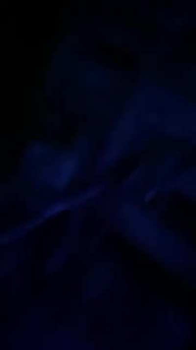 I tried turning my phone off before going into a haunted house
