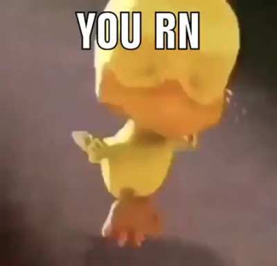 rule
