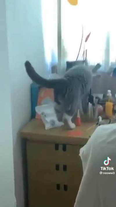 This whole sub in one video 😂