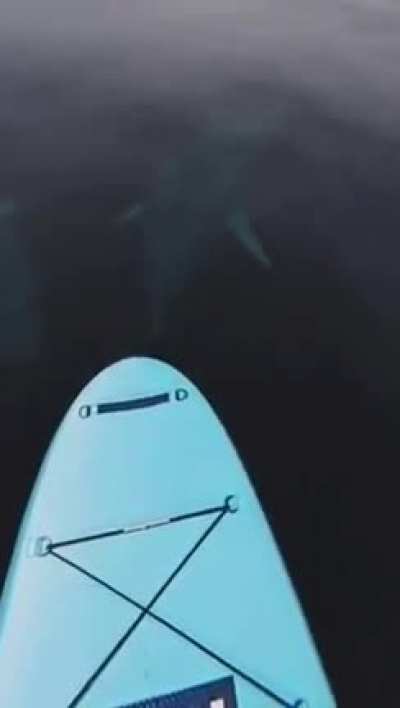 wait for it&hellip;