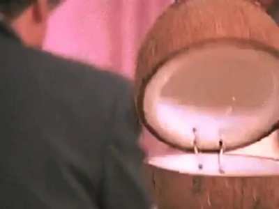 Coconut