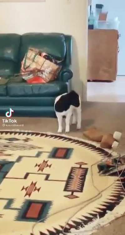 AAAAA