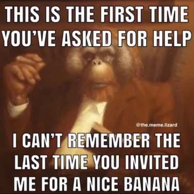 The GodMonke