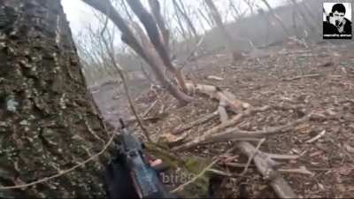 Ru Pov: The fighters of the "🅾️" group came close to the Ukrainian positions in the forest plantation, option for surrender was offered to AFU soldiers several times.
