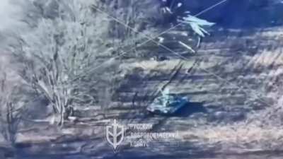 Tank of Pro-Ukrainian Russian unit &ldquo;Russian Volunteer Corps&rdquo; firing at Russian positions in Belgorod region, Russia, 12.03.2024