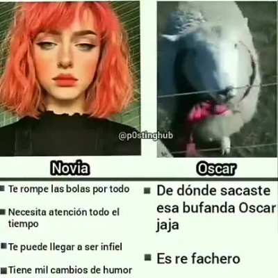 Oscar que lindo te has puesto