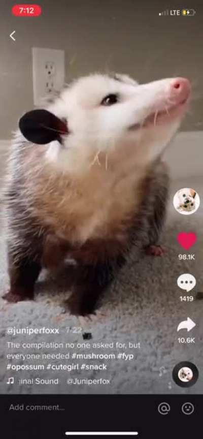 Terrible asmr but great casting