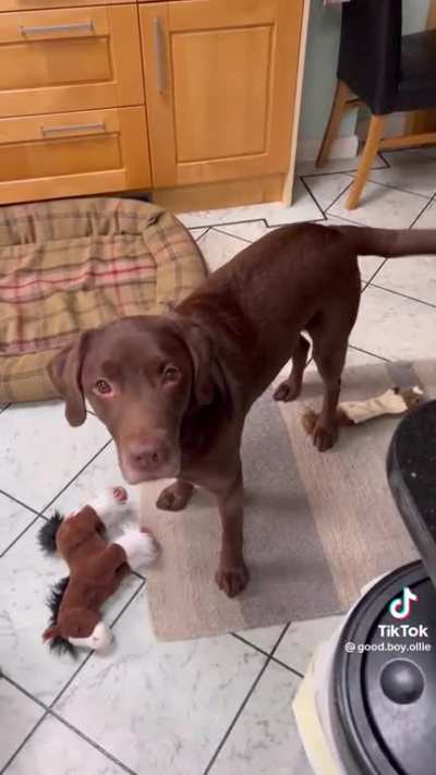 A very good boy